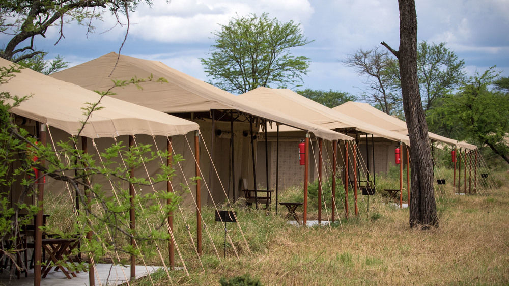 Serengeti Acacia Central Camp Екстериор снимка